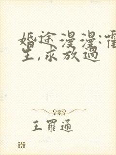 婚途漫漫:霍先生,求放过