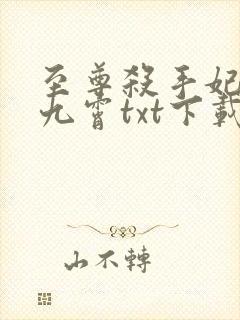 至尊杀手妃凤破九霄txt下载