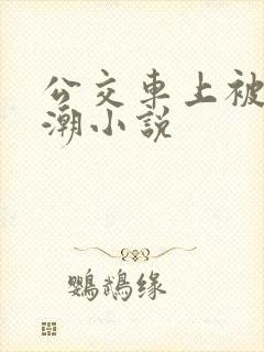 公交车上被摸高潮小说