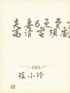 夫妻6免费完整高清电视剧看