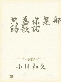 只为你是哪首歌的歌词