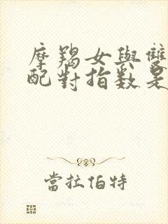 摩羯女与双子男配对指数是多少