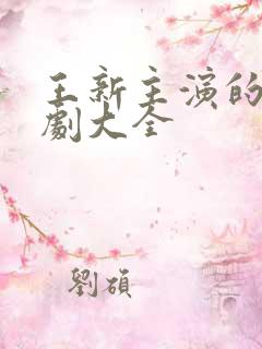 王新主演的电视剧大全