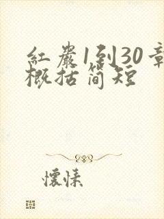 红岩1到30章概括简短