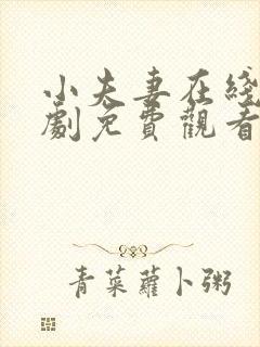 小夫妻在线电视剧免费观看全集