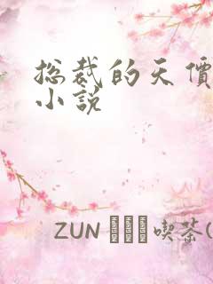 总裁的天价前妻小说