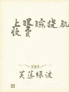 上眼睑提肌手术收费