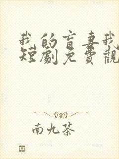 我的盲妻我的心短剧免费观看完整版