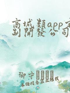 商城类app定制开发公司