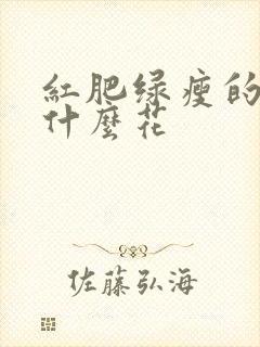 红肥绿瘦的红是什么花
