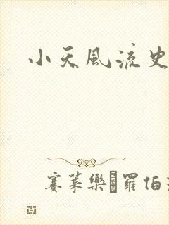 小天风流史全文