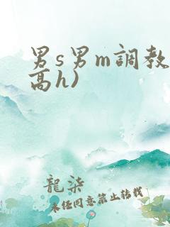 男s男m调教(高h)