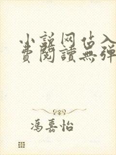 小说网站入口免费阅读无弹窗