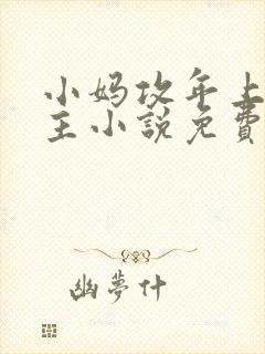小妈攻年上双男主小说免费阅读