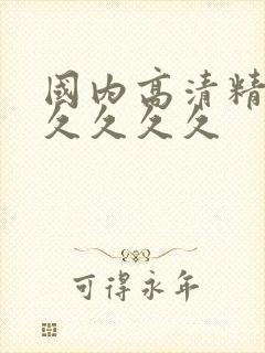 国内高清精品久久久久久