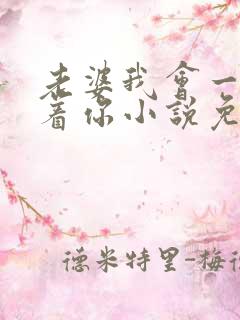 老婆我会一直缠着你小说免费阅读全文