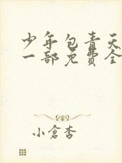 少年包青天 第一部免费全集