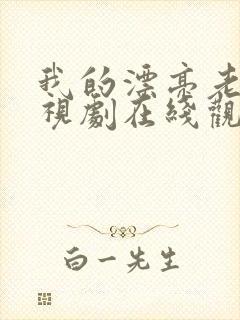 我的漂亮老师电视剧在线观看免费