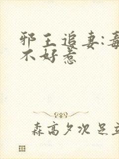 邪王追妻:毒妃不好惹