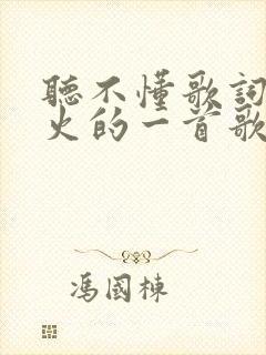 听不懂歌词的很火的一首歌