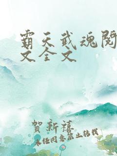 霸天武魂阅读全文全文