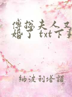 傅总夫人又闹离婚了 txt下载