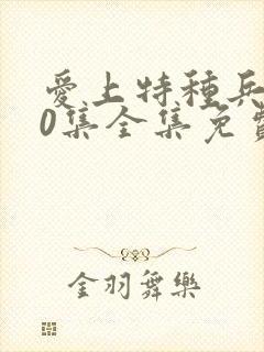 爱上特种兵第40集全集免费播放电视剧