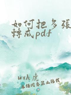 如何把多张图片转成pdf