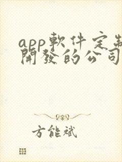 app软件定制开发的公司哪家好