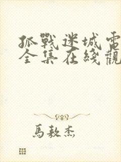 孤战迷城电视剧全集在线观看免费