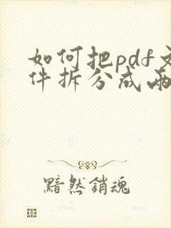 如何把pdf文件拆分成两个