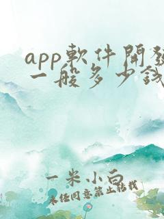 app软件开发一般多少钱