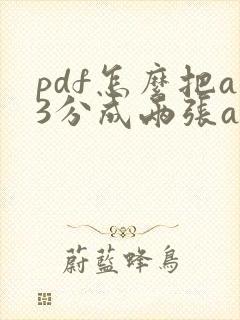 pdf怎么把a3分成两张a4