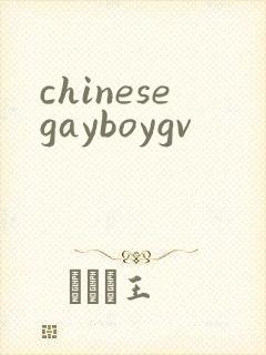 chinesegayboygv