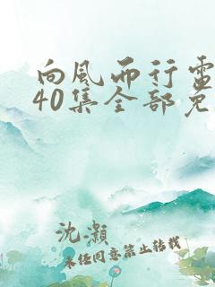 向风而行电视剧40集全部免费观看