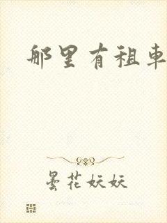 那里有租车公司