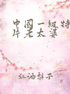 中国一级特黄大片老太婆