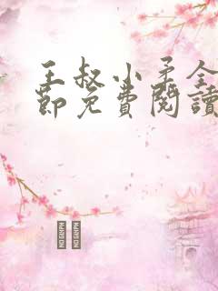 王叔小柔全部章节免费阅读