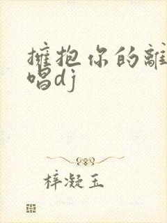 拥抱你的离去原唱dj