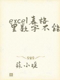 excel表格里数字不能求和怎么办