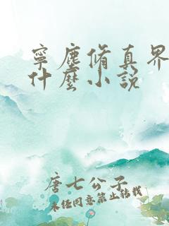 宁尘修真界归来什么小说