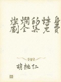 灿烂的转身电视剧全集免费观看高清