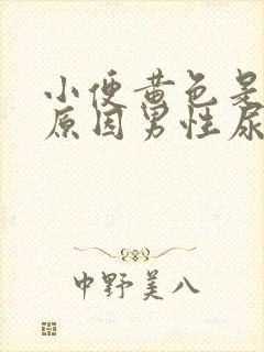 小便黄色是什么原因男性尿常规正常