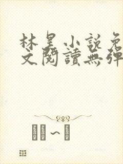 林昊小说免费全文阅读无弹窗
