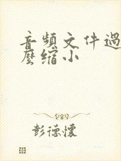 音频文件过大怎么缩小