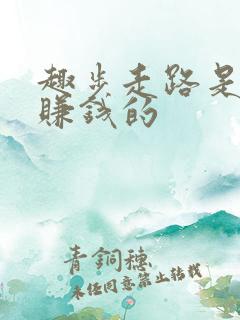 趣步走路是不是赚钱的