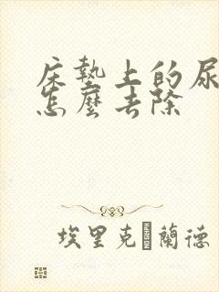 床垫上的尿骚味怎么去除