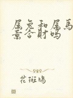 属兔和属马做生意合财吗