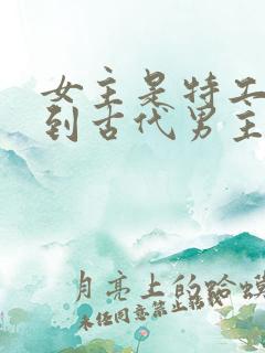 女主是特工穿越到古代男主是王爷