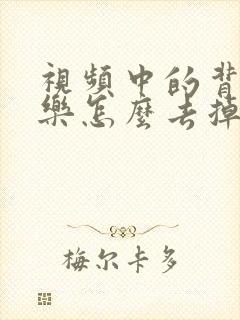 视频中的背景音乐怎么去掉只留人声
